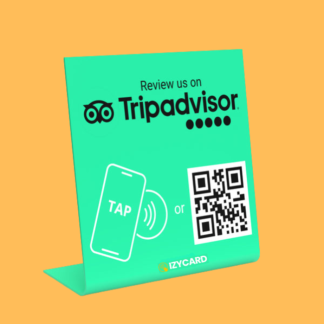 IzyStand TripAdvisor Reviews